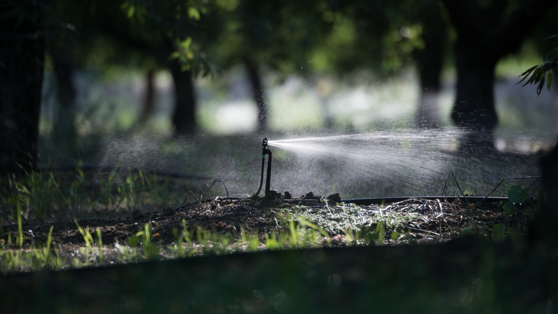California Converted Its Irrigation to Save Water. So Why Is Farm Energy Use Going Up?