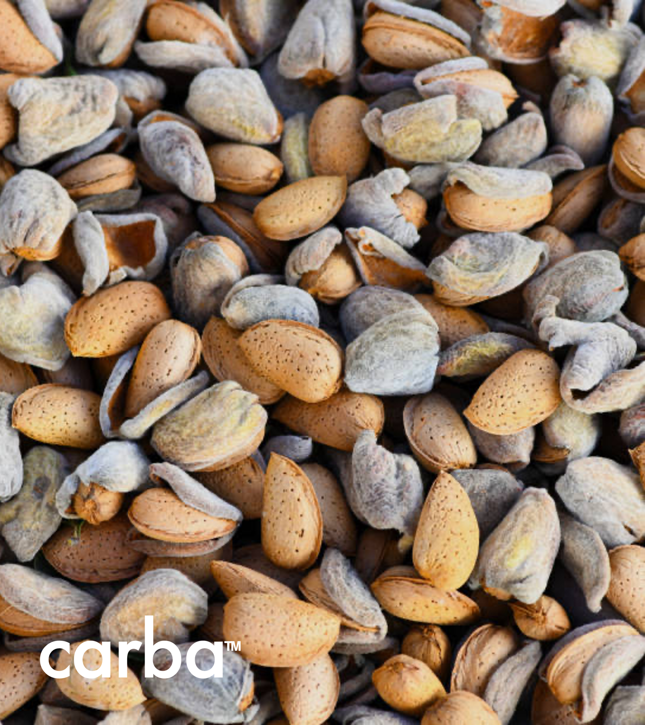 Carbon Market Research — Biochar CDR