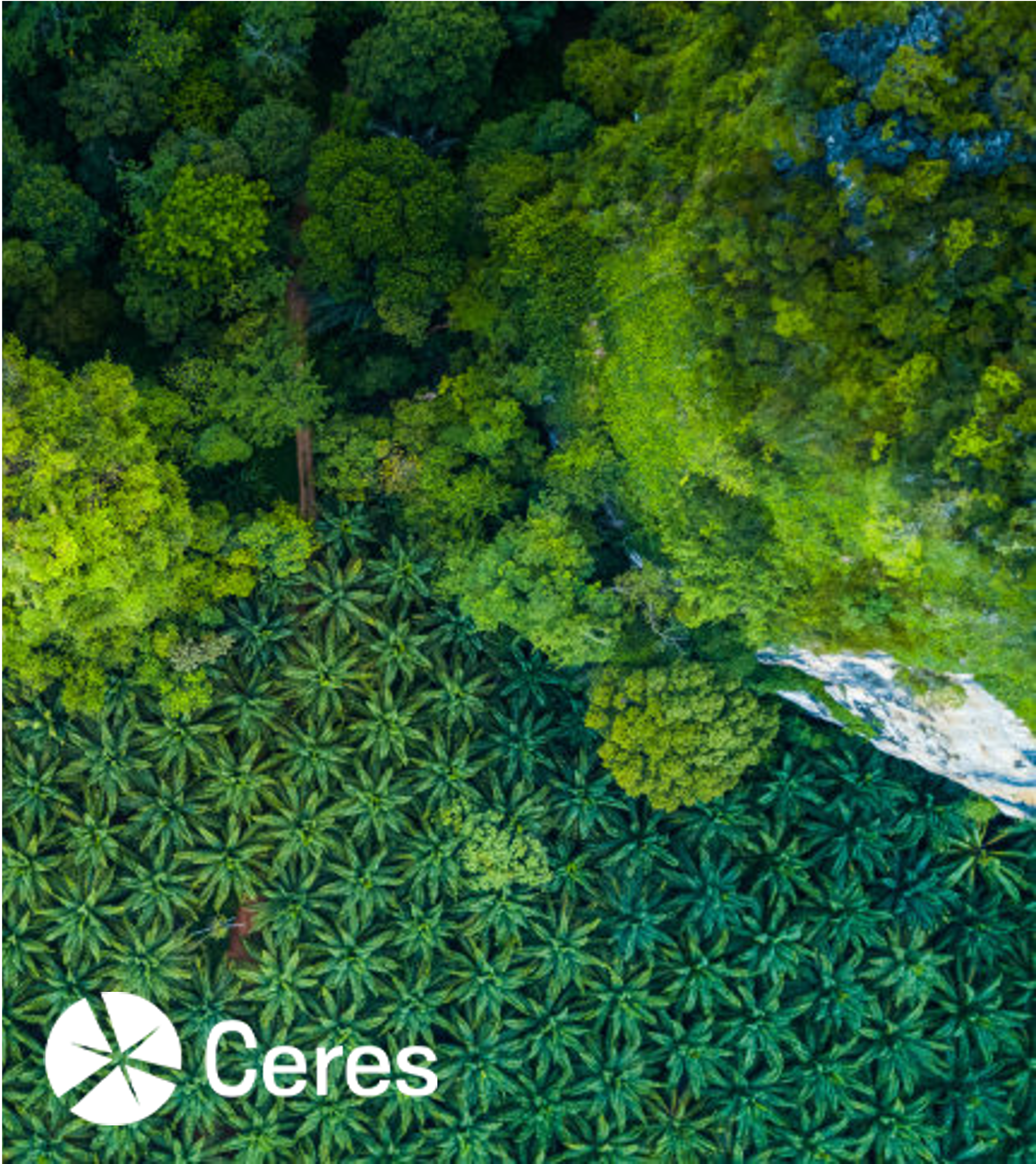 Voluntary Carbon Markets & Natural Climate Solutions Research