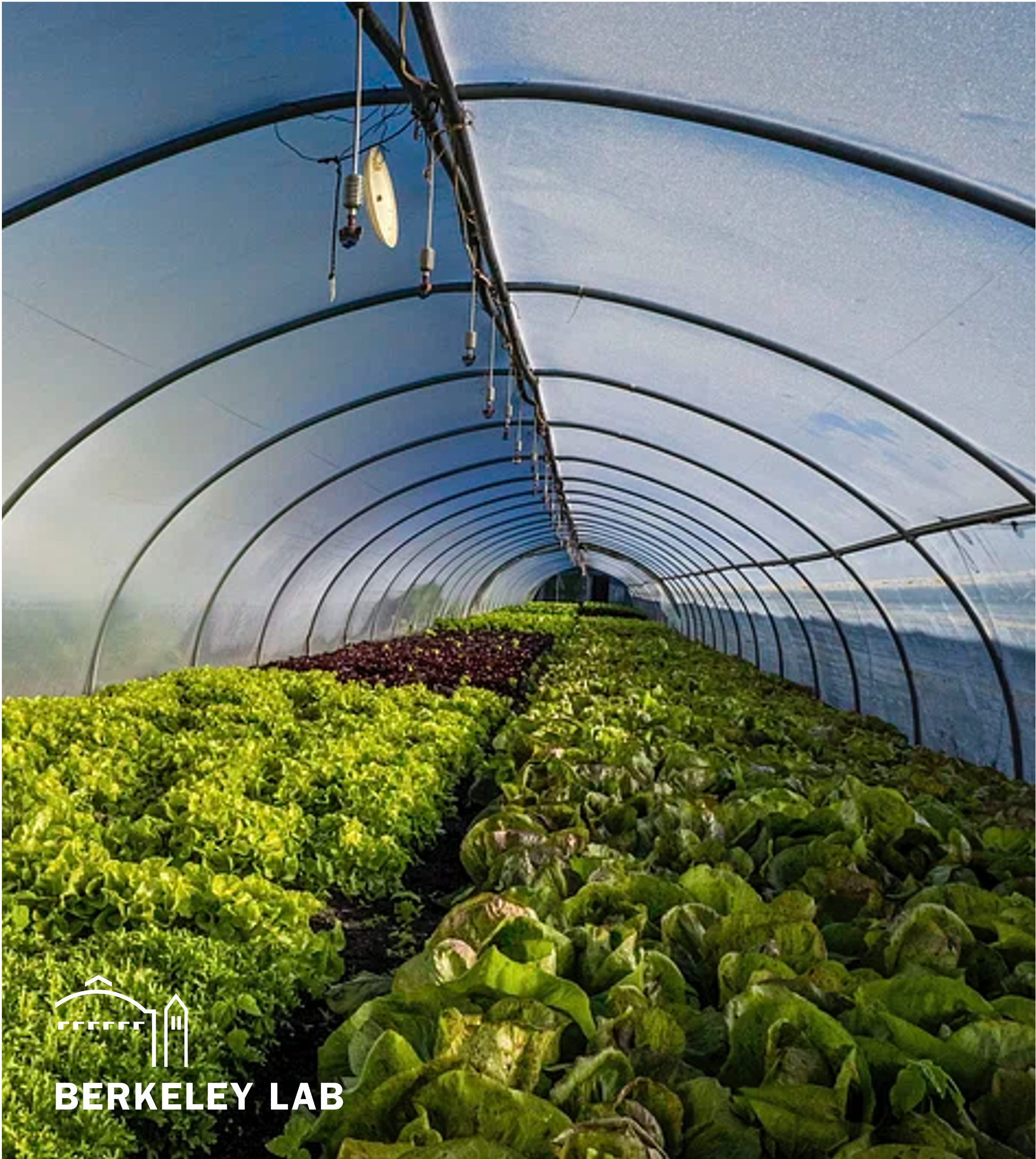 Controlled Environment Agriculture